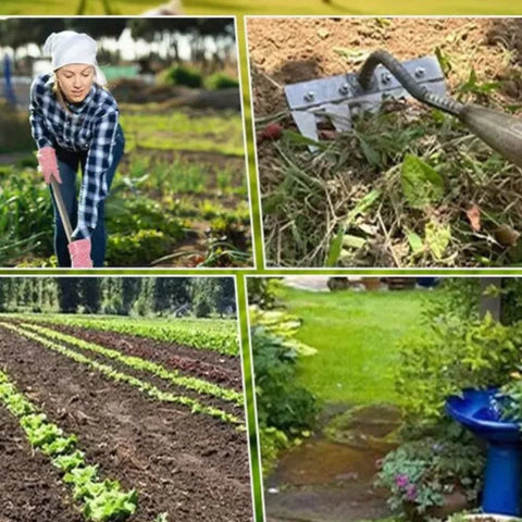 RASTRILLO DESMALEZADOR REVOLUCIONARIO