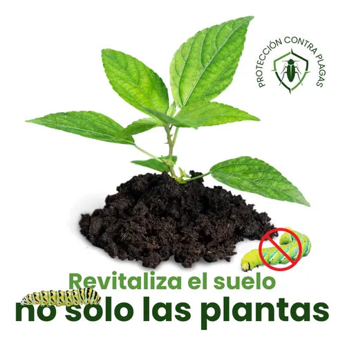 GREEN DROP – FERTILIZANTE POTENCIADOR PARA PLANTAS Y JARDÍN