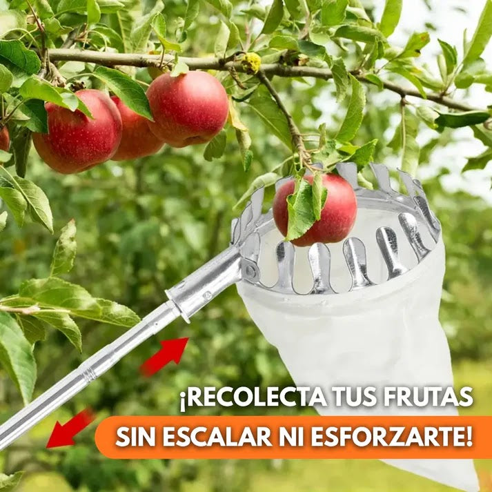 RECOLECTOR DE FRUTAS EXTENSIBLE – COSECHA FÁCIL SIN TREPAR