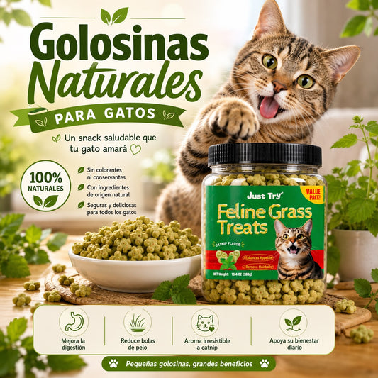 GOLOSINAS GATOS