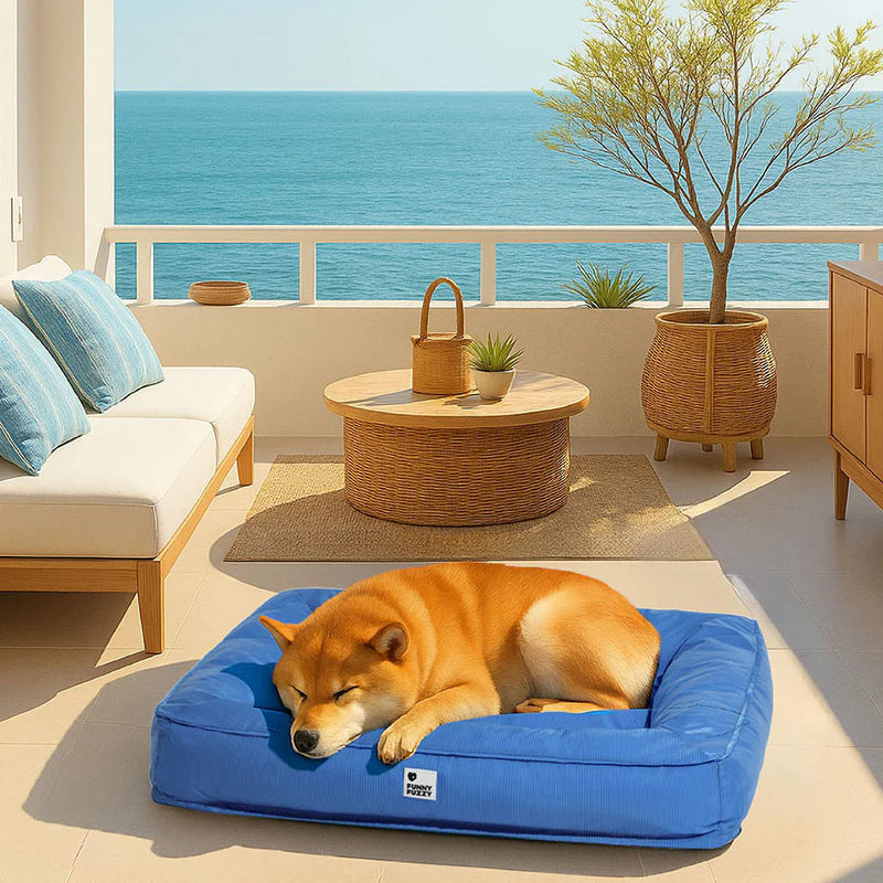 CAMA ORTOPÉDICA RELAXPE ANTIANSIEDAD PARA MASCOTAS
