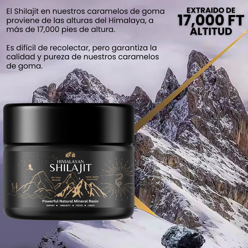 POTENCIADOR MASCULINO A BASE DE SHILAJIT