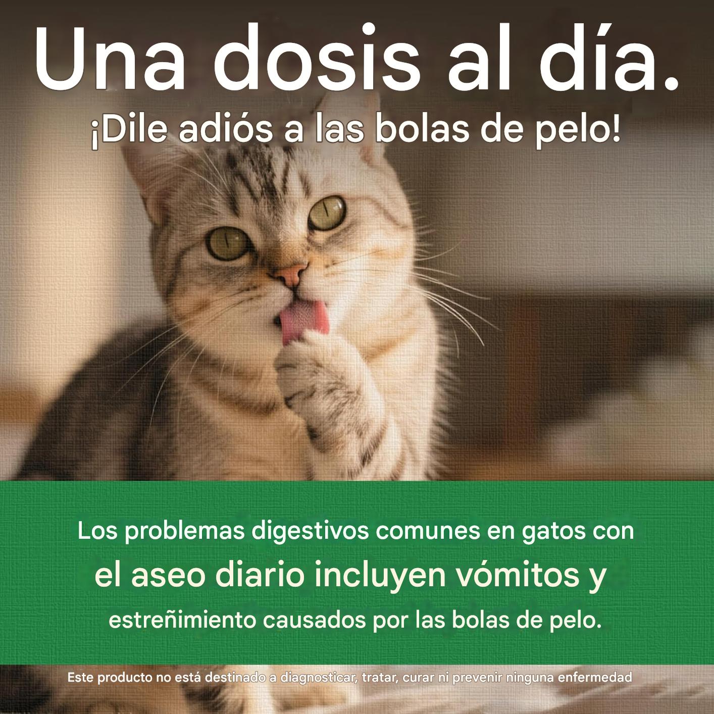 GOLOSINAS NATURALES PARA GATOS INTERIORES – SALMÓN, CONTROL DE BOLAS DE PELO Y SALUD DIGESTIVA