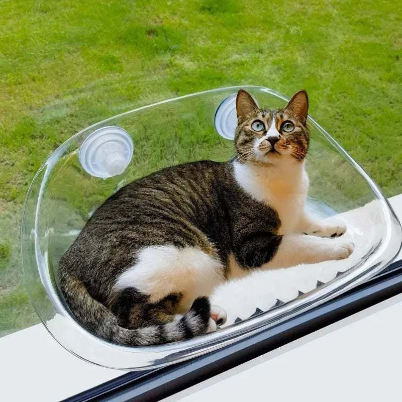 HAMACA TRANSPARENTE PARA GATOS CON VENTANA