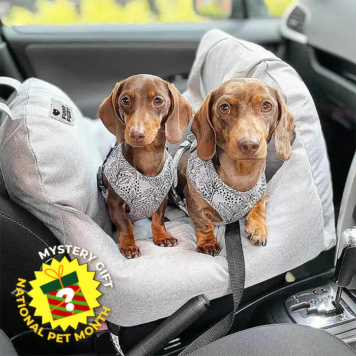 ASIENTO ACOLCHADO PARA PERROS