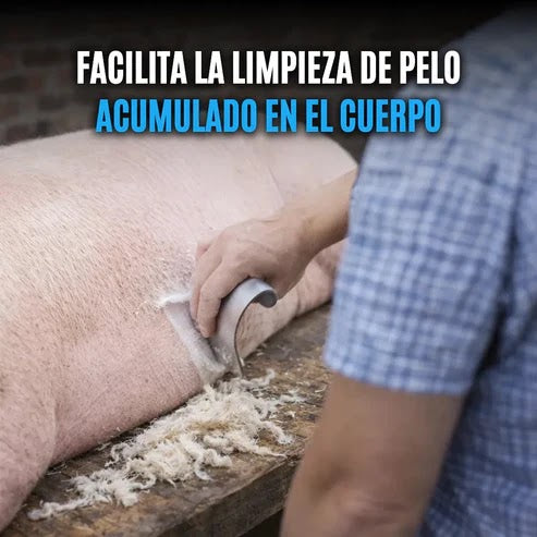 REMOVEDOR DE PELO PARA ANIMALES – HERRAMIENTA DE ACERO INOXIDABLE