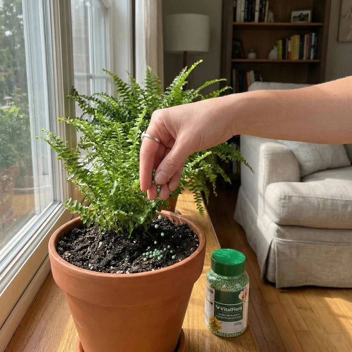 ESFERAS NUTRITIVAS DE LIBERACIÓN PROLONGADA PARA PLANTAS