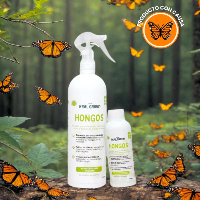 FUNGICIDA NANO BOTÁNICO: PROTEGE TUS PLANTAS COMO NUNCA ANTES