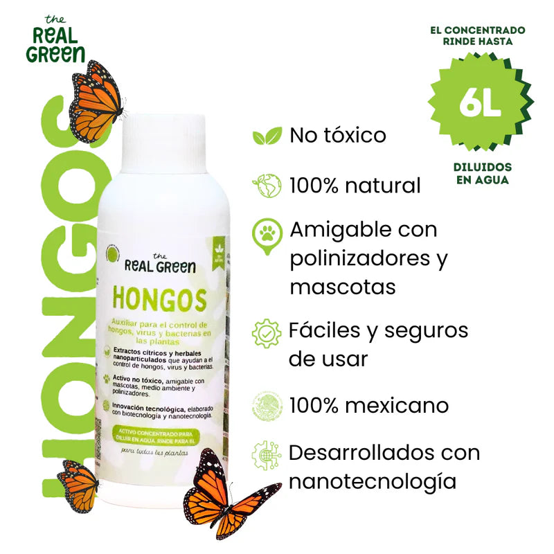 FUNGICIDA NANO BOTÁNICO: PROTEGE TUS PLANTAS COMO NUNCA ANTES